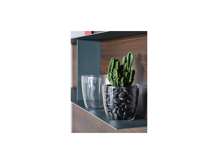 tera Pot de fleurs 'Madeira 16', transparent