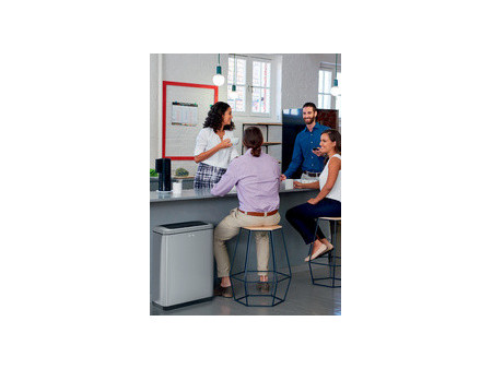 DURABLE Poubelle à capteur 'NO TOUCH DUO', 2 x 20 litres
