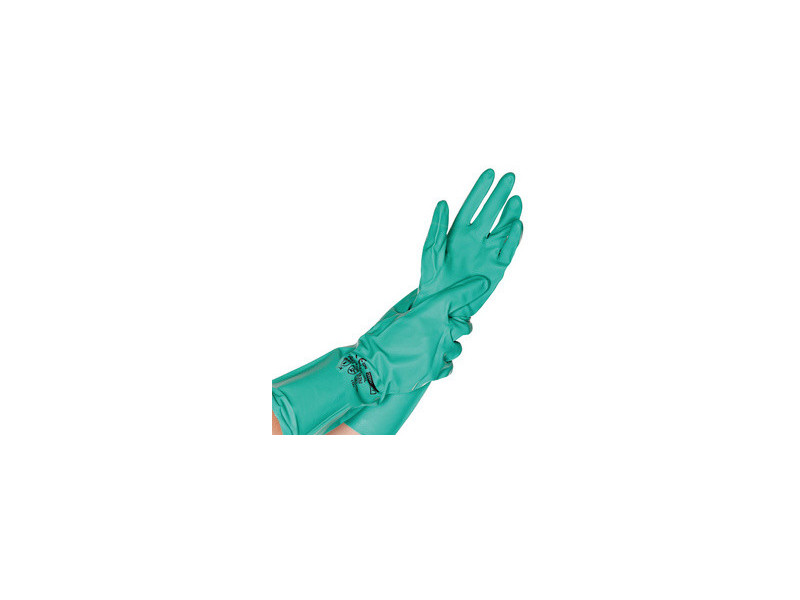 HYGOSTAR Gant universel en nitrile 'PROFESSIONAL', L, vert