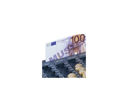 DURABLE Casier à monnaie EUROBOARD L, (L)324 x (P)190 x (H)