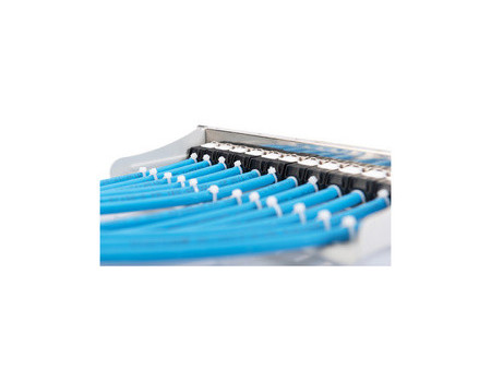 DIGITUS Panneau de brassage modulaire 10', 12 ports, gris
