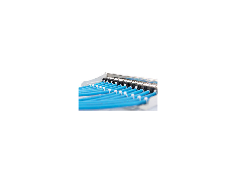 DIGITUS Panneau de brassage modulaire 10', 12 ports, gris