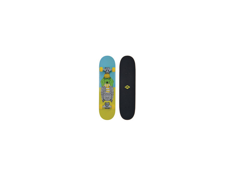 SCHILDKRÖT Skateboard 'Kicker 31' Green Dog