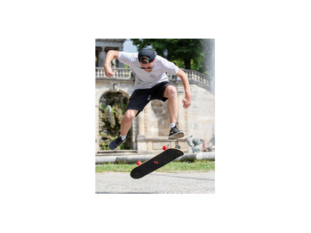 SCHILDKRÖT Skateboard 'Kicker 31' Green Dog