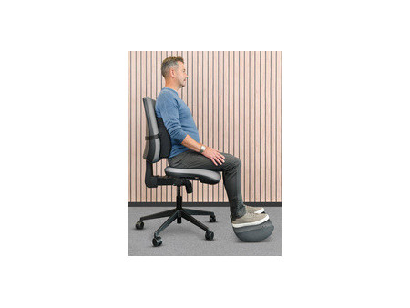 Fellowes Coussin de dossier confort Breyta, noir