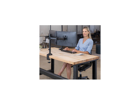 Fellowes Bras support pour écran double Reflex, noir