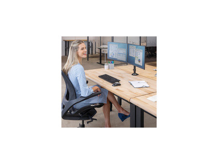 Fellowes Bras support pour écran double Reflex, noir