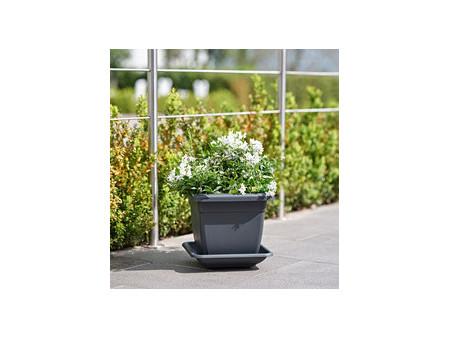 tera Soucoupe 'Nazca', largeur: 220 mm, anthracite
