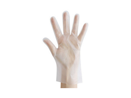 HYGOSTAR Gant TPE ALLFOOD THERMOSOFT, XL, transparent
