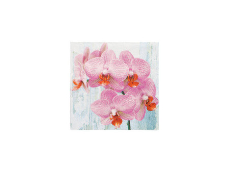 PAPSTAR Serviette à motif 'Summer Scent', 330 x 330 mm