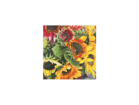 PAPSTAR Serviette à motif 'Summer Scent', 330 x 330 mm