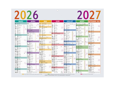 EXACOMPTA Calendrier Multicolore, 2026/2027, 550 x 405 mm