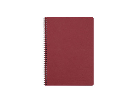Clairefontaine Carnet à spirale NOMADDICT, A4, vert