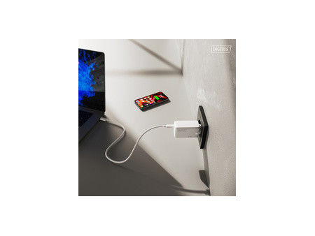 DIGITUS Chargeur secteur USB GaN, 2x USB-C / 1x USB-A, 67 W