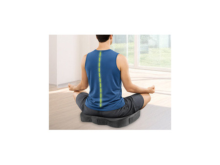 LogiLink Coussin orthopédique, noir