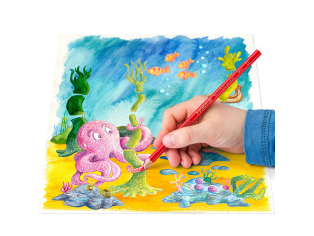 STAEDTLER Crayon aquarelle Noris, étui carton de 24