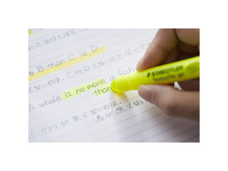 STAEDTLER Surligneur 'Textsurfer gel', vert