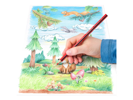 STAEDTLER Crayon de couleur Noris colour, étui carton de 24