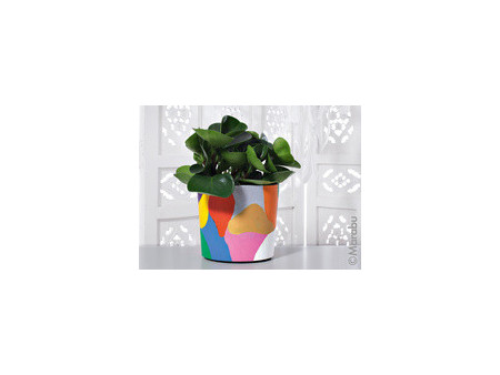 Marabu Peinture acrylique DO IT Craft Paint, rose