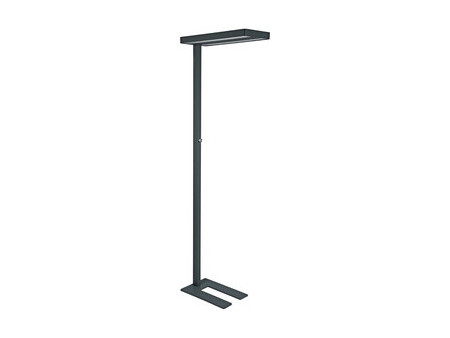 MAUL Lampadaire à LED MAULjaval, dimmable, avec socle
