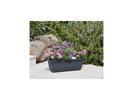tera Jardinière XXL 'Tora', largeur: 800 mm, anthracite