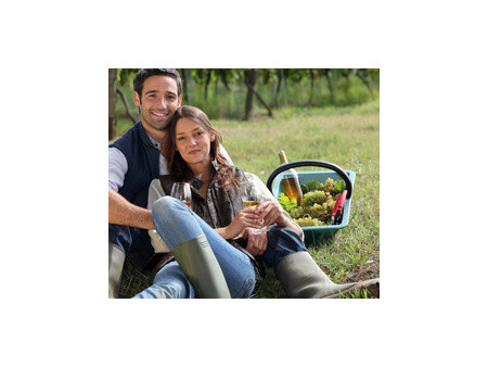 EDA Panier avec anse, 18 litres, plastique, vert