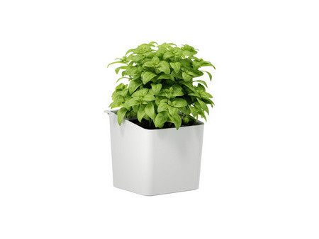tesa KITCHEN Pot pour herbes aromatiques, blanc