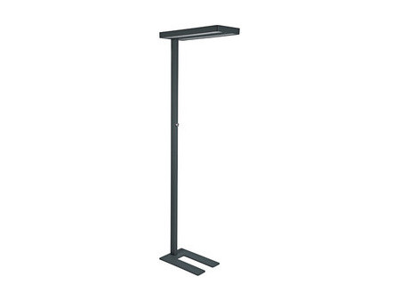 MAUL Lampadaire à LED MAULjuvis, dimmable, socle, argent