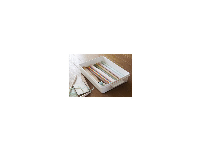 smartstore Boîte de rangement 'Bedroller', 60 litres