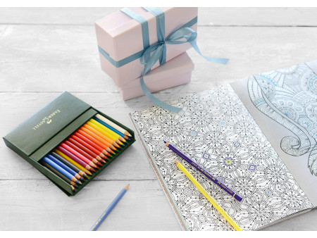 FABER-CASTELL Crayons de couleur POLYCHROMOS,boîte d'atelier