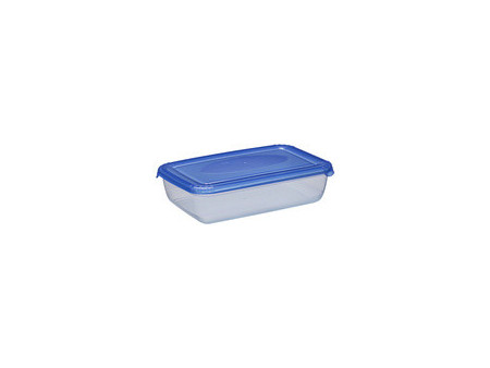 plast team Boîte de congélation Polar, 0,45 litre, gris