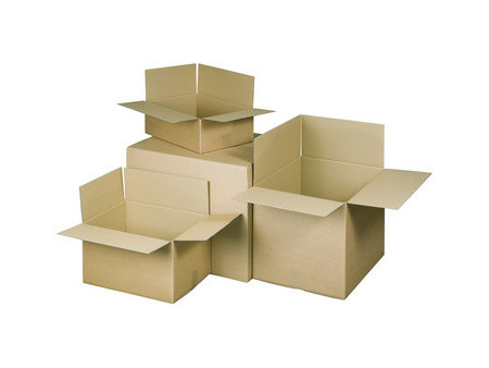 RAADHUIS Carton ondulé à plier, (L)710 x (P)500 x (H)110 mm