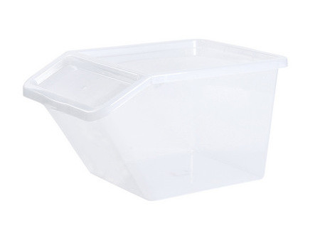 Plast team Bac de rangement BASIC BOX SLANTED, 40 litres