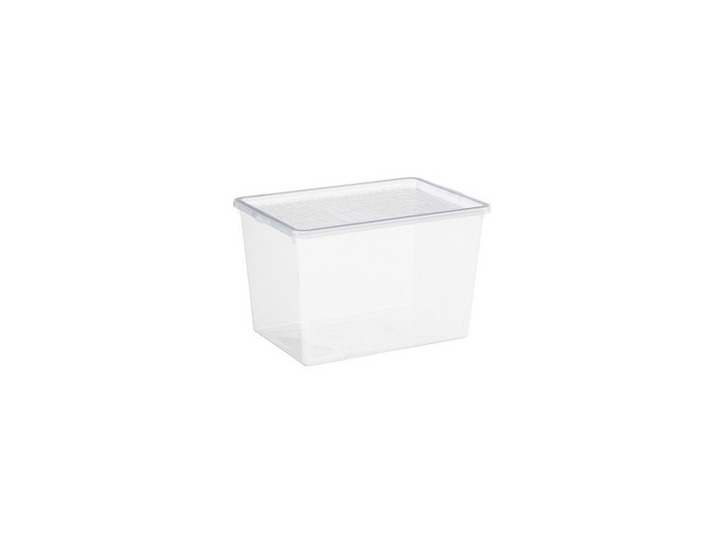 Plast team Boîte à chaussures BASIC BOX, High Heels