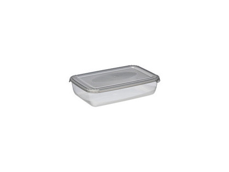 plast team Boîte de congélation Polar, 1,9 litre, bleu