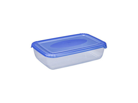 plast team Boîte de congélation Polar, 3,0 litres, bleu
