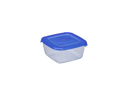 plast team Boîte de congélation Polar, 0,95 litre, bleu