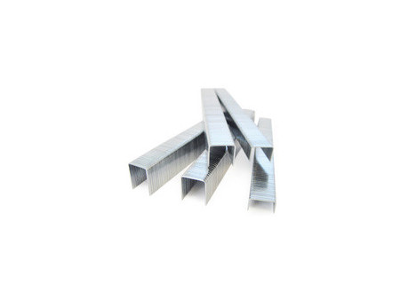 TACWISE Agrafes 73/8 mm, acier inoxydable, 5.000 pièces