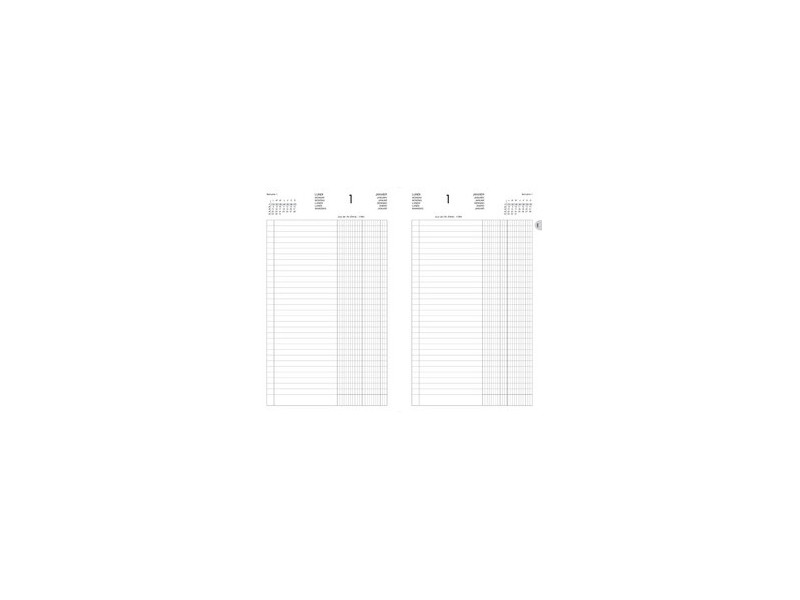 LECAS Agenda de La Banque Large 2027, 180 x 290 mm,2 volumes