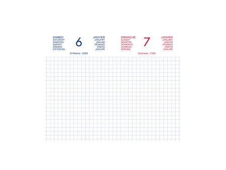 LECAS Agenda journalier Chantier, 80 x 130 mm, 2027, assorti