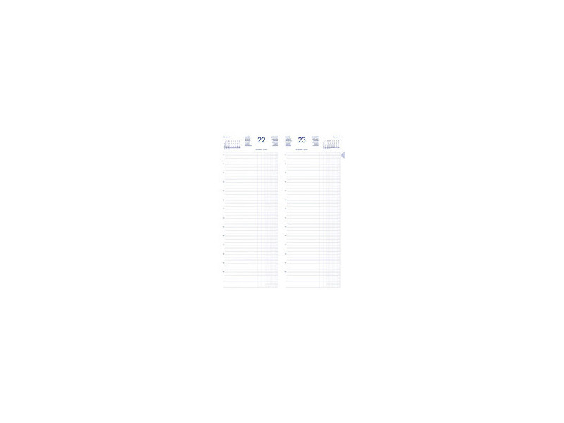 LECAS Agenda journalier Long Euros Cents, 2027, assorti
