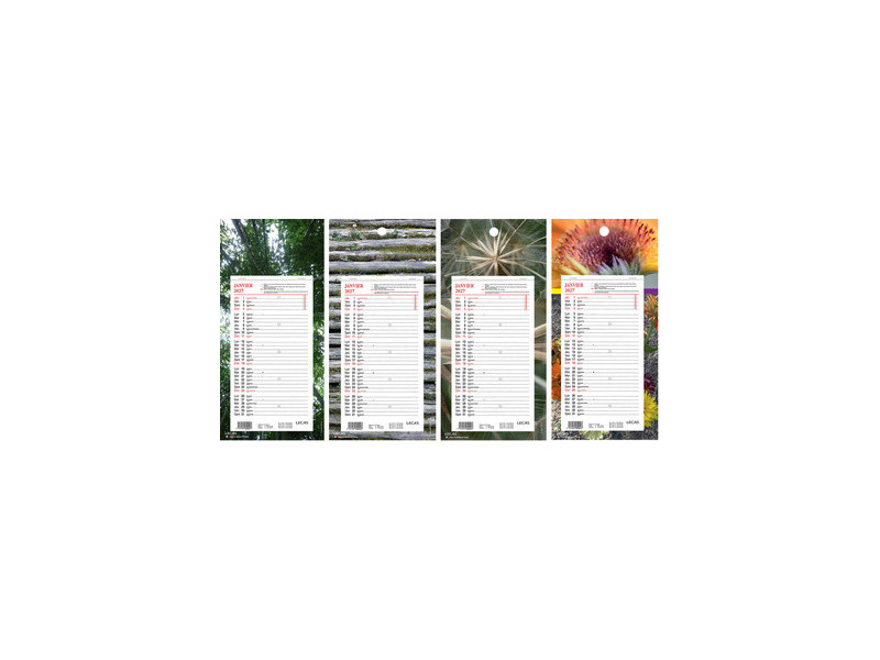 LECAS Calendrier mural long, 160 x 330 mm, fond Nature, 2027