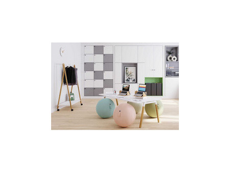ALBA Vestiaire 'SLEEK', mobile, (H)1.490 mm, bois / blanc