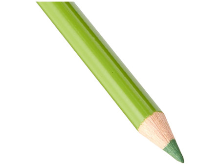 FABER-CASTELL Crayon de couleur POLYCHROMOS, terre verte