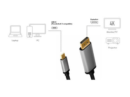LogiLink Câble USB, fiche mâle USB-C-mâle DP, 1,8 m