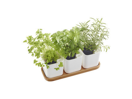 orthex Pot à herbes aromatiques EDEN, set de 3, blanc