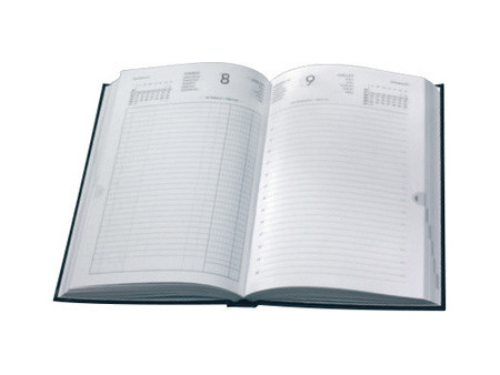 LECAS Agenda journalier Couronne EURO/Cent, 2027, assorti