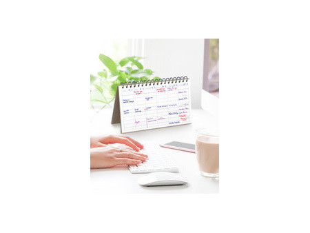 LECAS Agenda DESK PLANNER, perpétuel, 240 x 140 mm