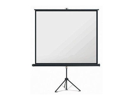 magnetoplan Écran sur pied, (L)1.800 x (H)1.800 mm, 1:1