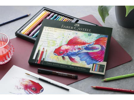 FABER-CASTELL Kit cadeau ALBRECHT DÜRER, 21 pièces